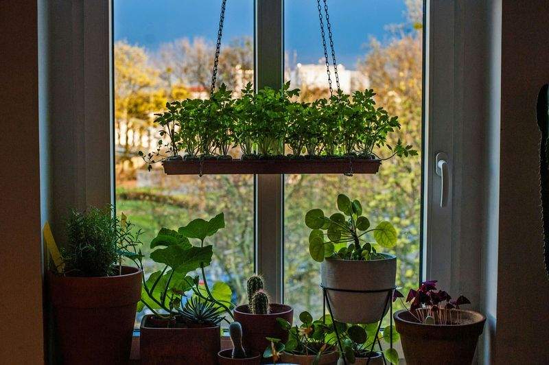植栽デザイン・季節の植え替え